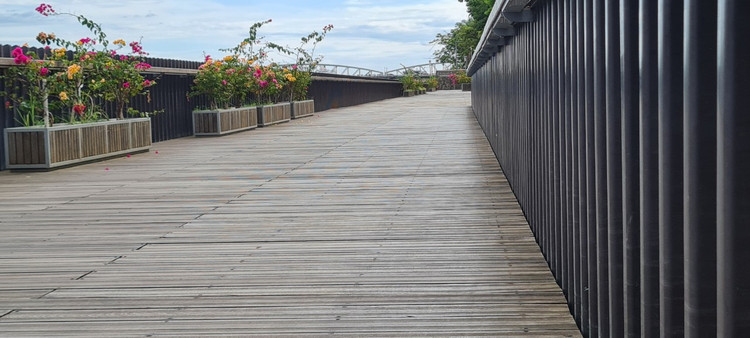 Chiem nguong cau go lim “bac ty” doc nhat Viet Nam-Hinh-11