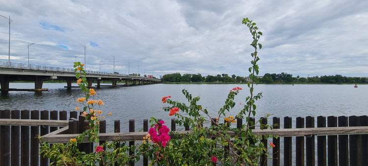 Chiem nguong cau go lim “bac ty” doc nhat Viet Nam-Hinh-7