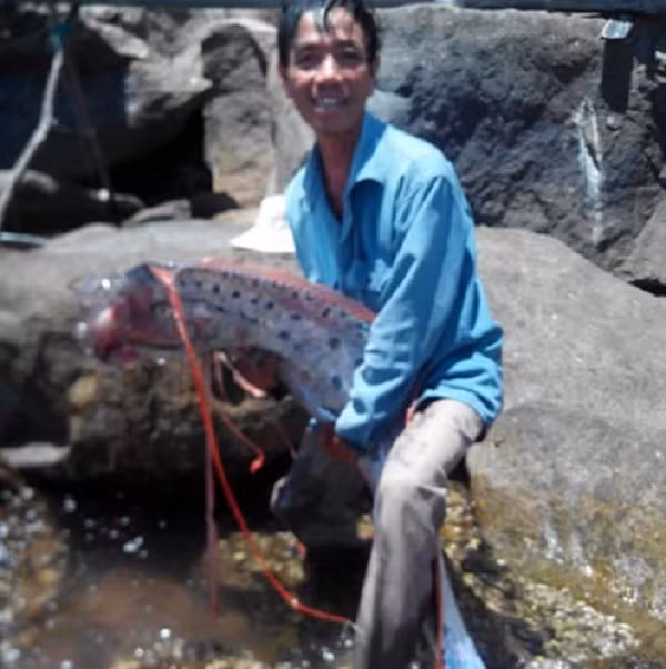 Top quai thu thinh linh xuat hien o Viet Nam khiep nguoi dan chet khiep-Hinh-10