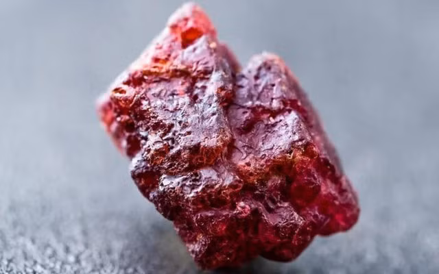 Vien da quy lon nhat Viet Nam tung lam chan dong gioi khoa hoc-Hinh-7