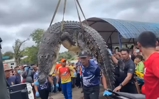 Rach bung 'quai thu' khong lo va cai ket cuc soc