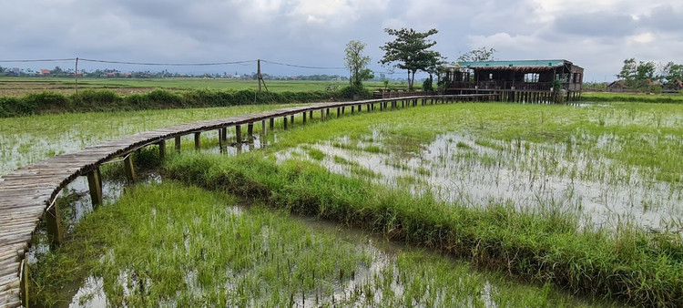 Check in lo gach cu bo hoang dep nhu phim-Hinh-12