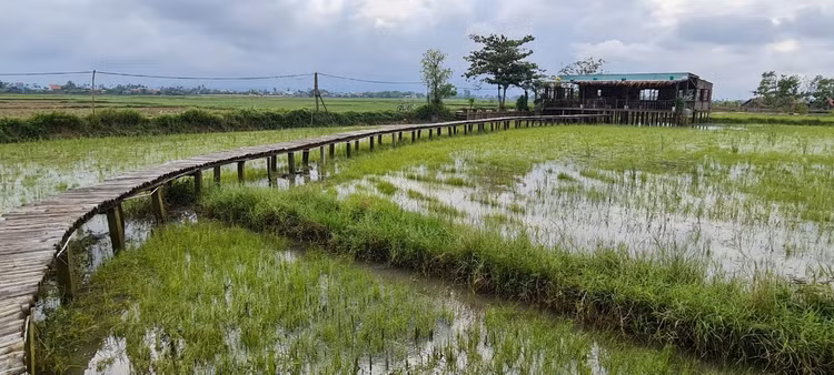 Check in lo gach cu bo hoang dep nhu phim-Hinh-12