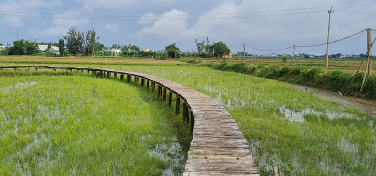 Check in lo gach cu bo hoang dep nhu phim-Hinh-2