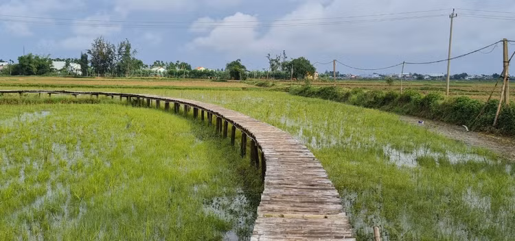 Check in lo gach cu bo hoang dep nhu phim-Hinh-2