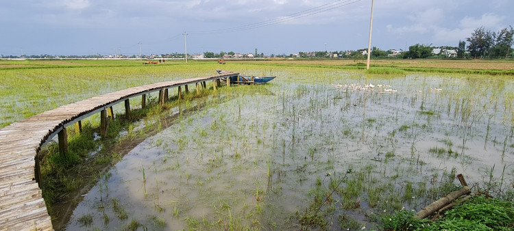 Check in lo gach cu bo hoang dep nhu phim-Hinh-6