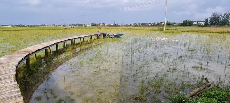 Check in lo gach cu bo hoang dep nhu phim-Hinh-6