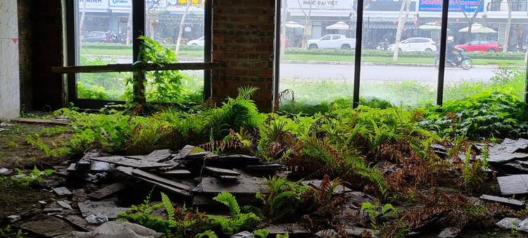 Da Nang: Xot xa loat shophouse chuc ty bo hoang, co phu kin-Hinh-7