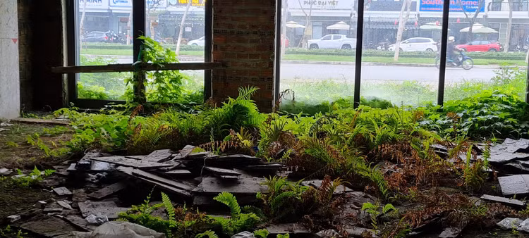 Da Nang: Xot xa loat shophouse chuc ty bo hoang, co phu kin-Hinh-7