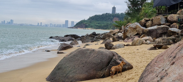 Check in bai bien hoang so tuyet dep duoi chan nui Son Tra-Hinh-9