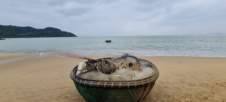 Check in bai bien hoang so tuyet dep duoi chan nui Son Tra-Hinh-6