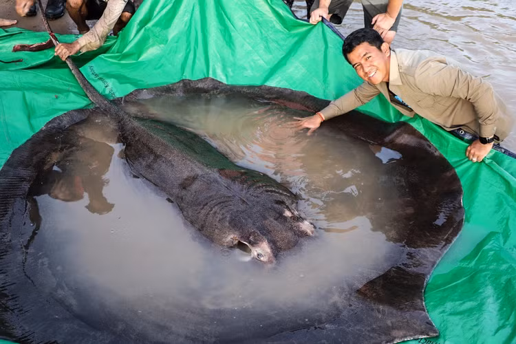 Can canh loat thuy quai dang so tung 'sa luoi' ngu dan Viet-Hinh-5