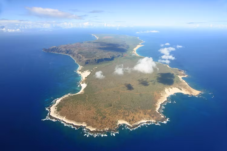 Dot nhap 'hon dao cam' bi an bac nhat Trai dat