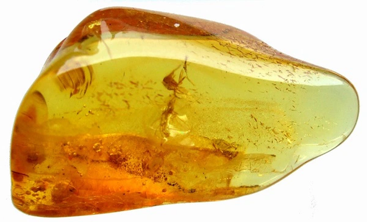 Bat ngotim thay vien da quy 'vo song' o Nam Cuc-Hinh-9