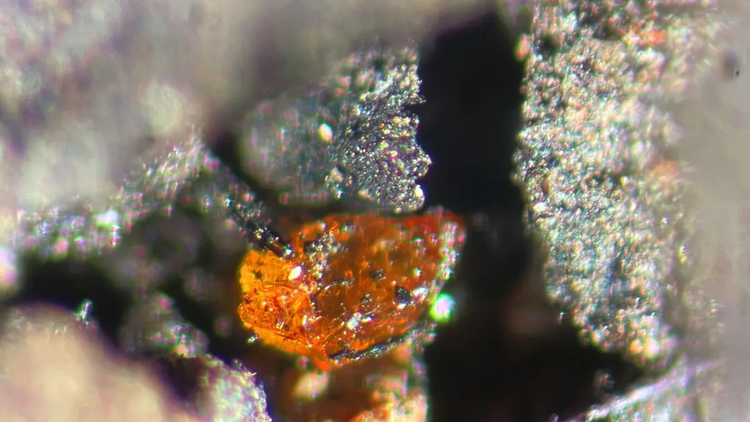 Bat ngotim thay vien da quy 'vo song' o Nam Cuc