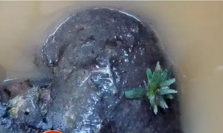 Bat nap quan tai, soc nang thay thu phat sang ben trong-Hinh-4