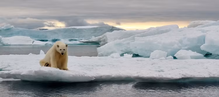 Boi roi sinh vat thoi tien su xuat hien o Bac Cuc-Hinh-7