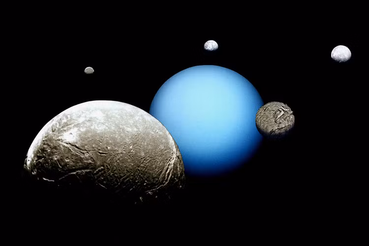 Nóng: NASA tìm ra thế giới mới chứa 'sự sống ngoài hành tinh' - Hình 7 Nong: NASA tim ra the gioi moi chua 'su song ngoai hanh tinh'-Hinh-7