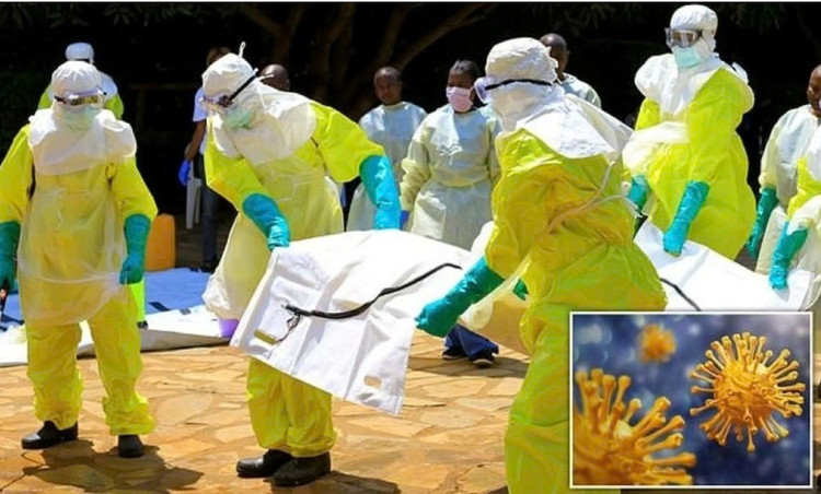 Benh la o Congo tu vong trong 48h, WHO vao cuoc tim nguyen nhan