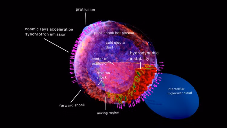 Bat ngo nhung truyen thuyet tuong hu cau nhung hoa ra la su that-Hinh-11
