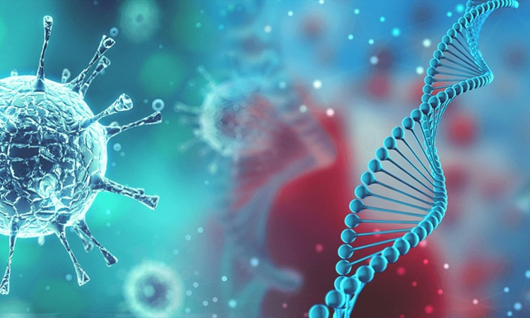 Giat minh tien tri cua Stephen Hawking ve tuong lai nhan loai-Hinh-7