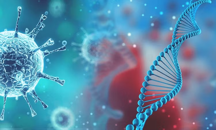 Giat minh tien tri cua Stephen Hawking ve tuong lai nhan loai-Hinh-7