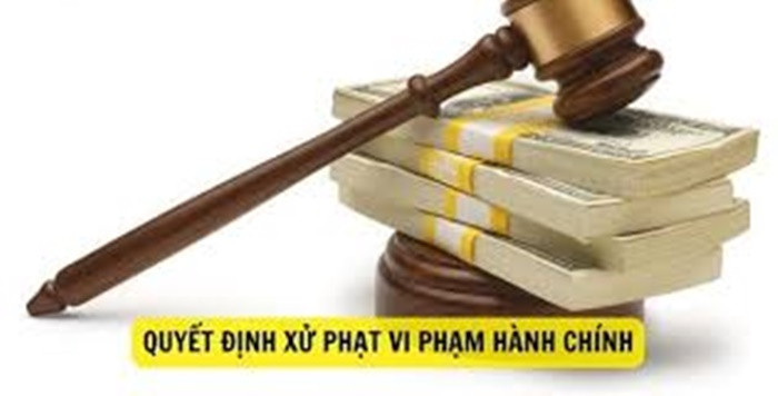 Cong ty BBQ Viet Nam, Anh sang Song Hong bi xu phat