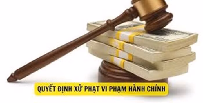 Cong ty BBQ Viet Nam, Anh sang Song Hong bi xu phat