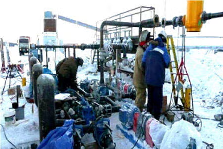 Rung minh noi chua hang tram tan vang nhung khong ai dam lay-Hinh-5