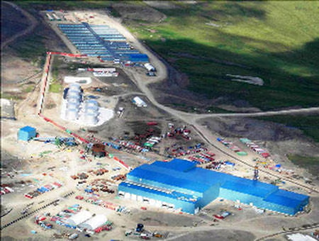 Rung minh noi chua hang tram tan vang nhung khong ai dam lay-Hinh-6