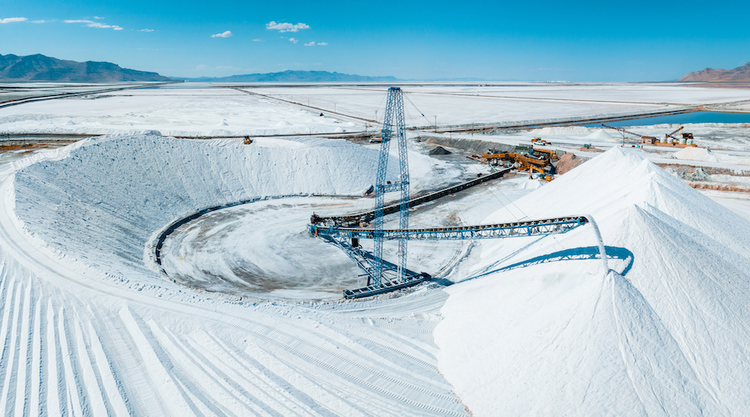 Rung minh noi chua hang tram tan vang nhung khong ai dam lay