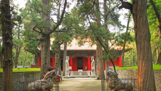 Vi sao qua khong dau, ran khong bo quanh mo Khong Tu?-Hinh-7