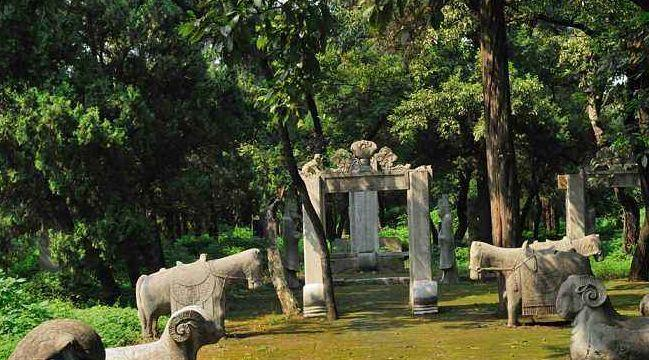 Vi sao qua khong dau, ran khong bo quanh mo Khong Tu?-Hinh-5