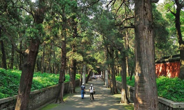 Vi sao qua khong dau, ran khong bo quanh mo Khong Tu?-Hinh-3