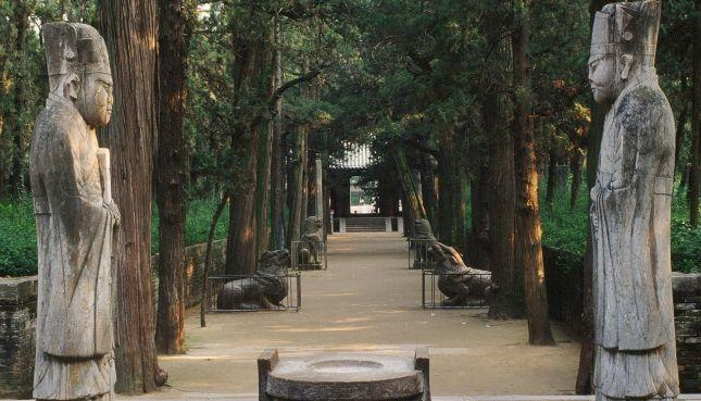 Vi sao qua khong dau, ran khong bo quanh mo Khong Tu?-Hinh-6