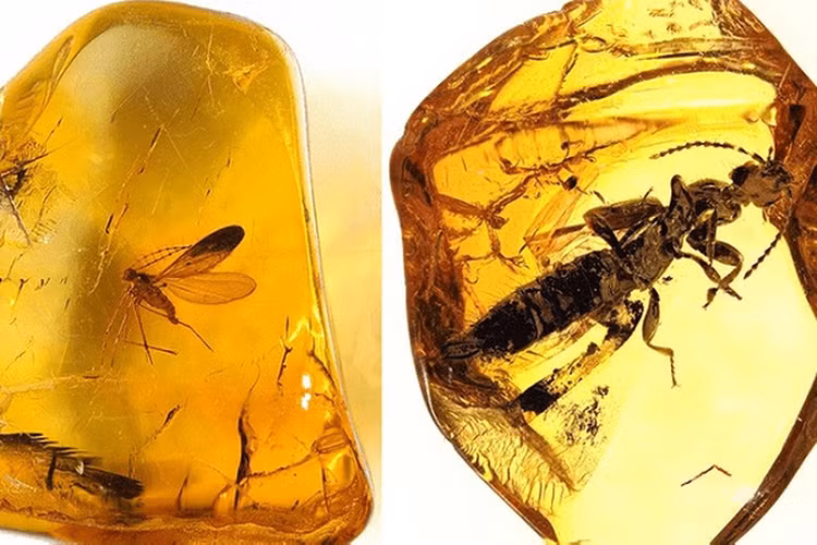 Hon da dung chan cua hang chuc nam, ai ngo la 