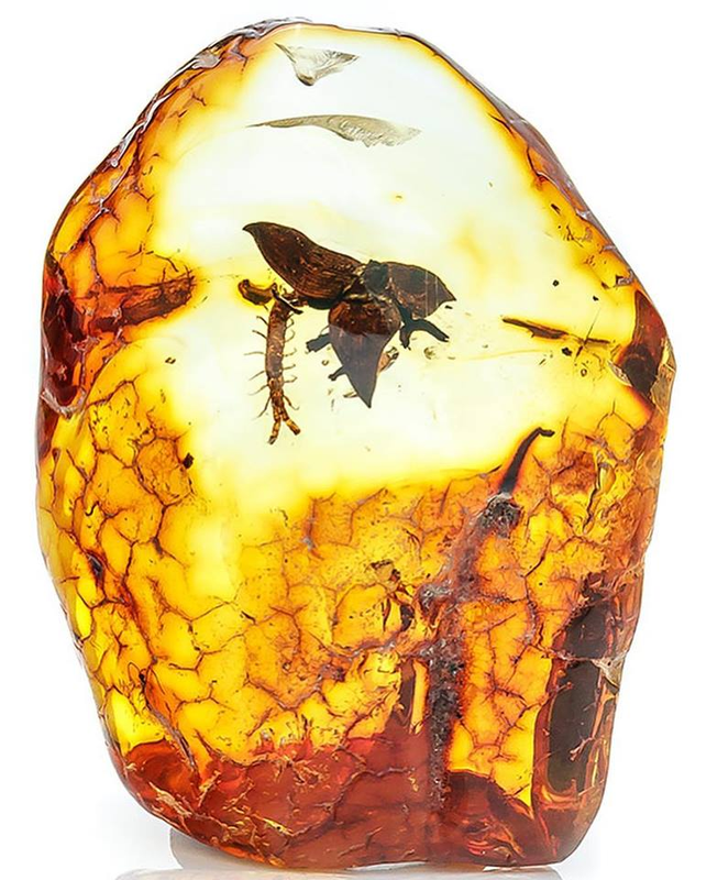 Hòn đá dùng chặn cửa hàng chục năm, ai ngờ là "báu vật" tiền tỷ - Hình 5 Hon da dung chan cua hang chuc nam, ai ngo la