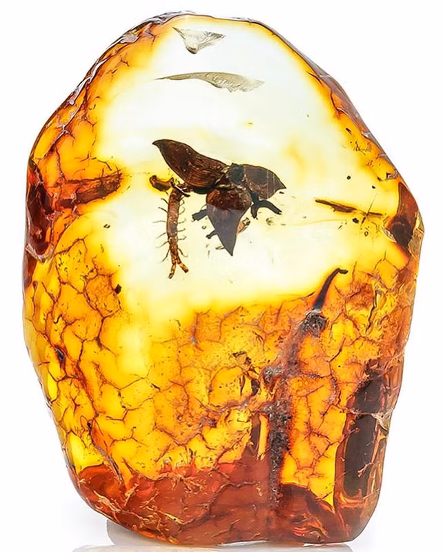 Hon da dung chan cua hang chuc nam, ai ngo la 