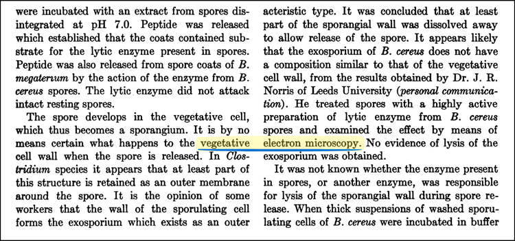 He lo “thuat ngu ma” ton tai 75 nam “am” vao cac mo hinh AI-Hinh-4