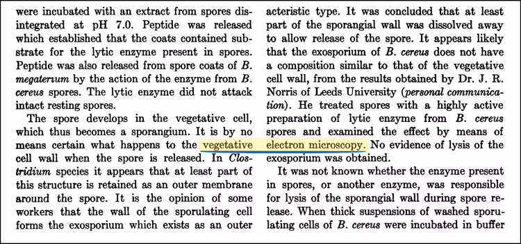 He lo “thuat ngu ma” ton tai 75 nam “am” vao cac mo hinh AI-Hinh-4