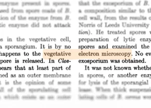 He lo “thuat ngu ma” ton tai 75 nam “am” vao cac mo hinh AI-Hinh-8