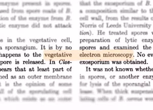 He lo “thuat ngu ma” ton tai 75 nam “am” vao cac mo hinh AI-Hinh-8