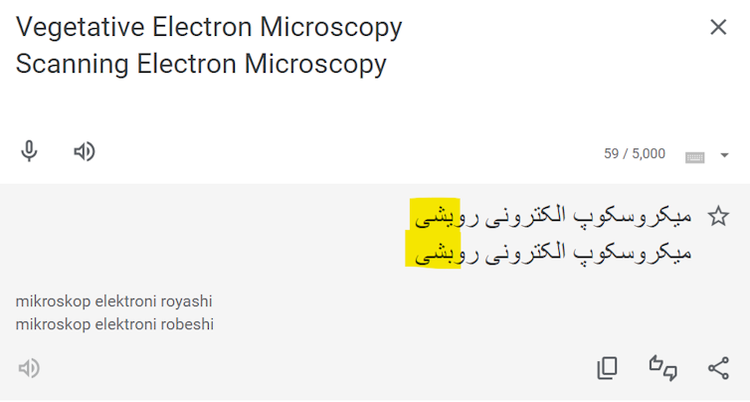 He lo “thuat ngu ma” ton tai 75 nam “am” vao cac mo hinh AI-Hinh-3