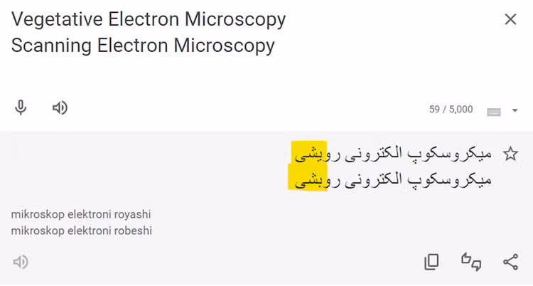 He lo “thuat ngu ma” ton tai 75 nam “am” vao cac mo hinh AI-Hinh-3