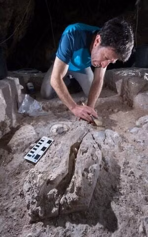 Mo mo co 130.000 nam, lo dien loai nguoi bi an chua tung biet-Hinh-4