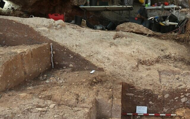 Mo mo co 130.000 nam, lo dien loai nguoi bi an chua tung biet-Hinh-5