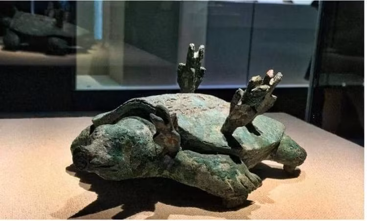 Cau duoc ba ba, lao ngu nga quy khi biet bau vat 6.000 ty-Hinh-6