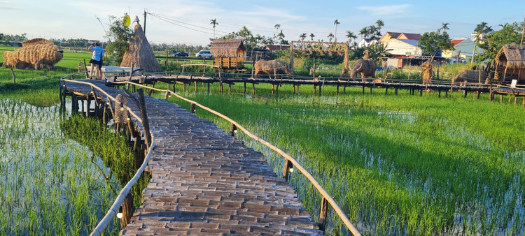 Me man vuon thu co 1-0-2 giua “canh dong bat tan” o Hoi An