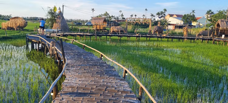 Me man vuon thu co 1-0-2 giua “canh dong bat tan” o Hoi An