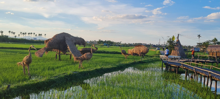 Me man vuon thu co 1-0-2 giua “canh dong bat tan” o Hoi An-Hinh-2